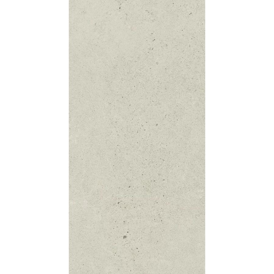 PARADYZ BERGDUST WHITE REKT. MAT 59.8X119.8 (1.43 M2)
